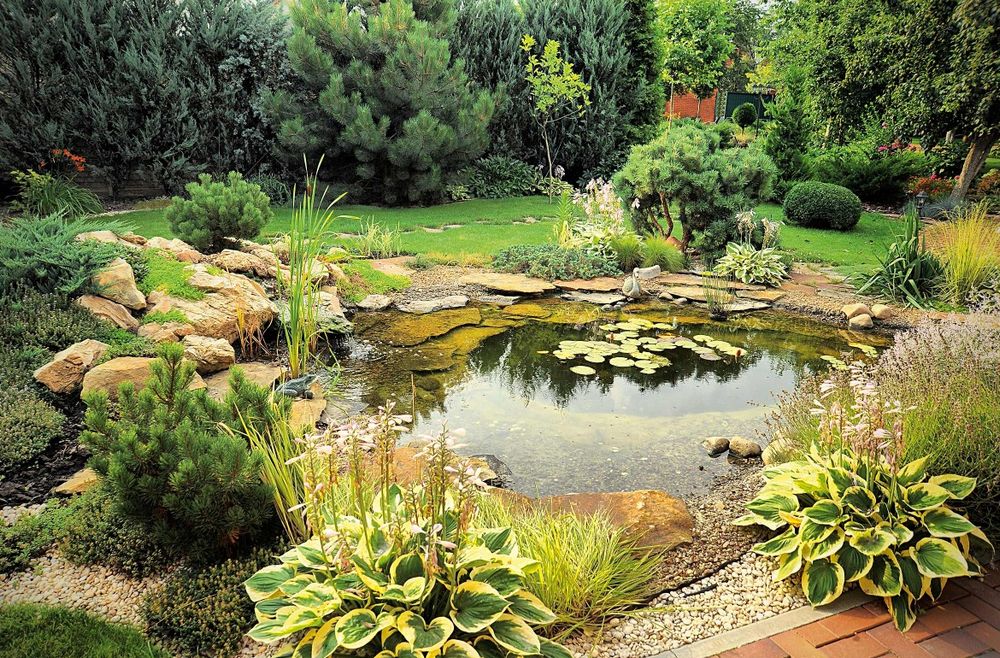 A votre bassin et serre