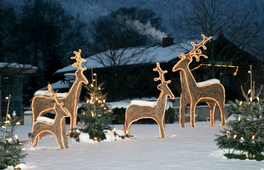 Comment donner du style et l&rsquo;élégance à votre jardin pour Noël ?